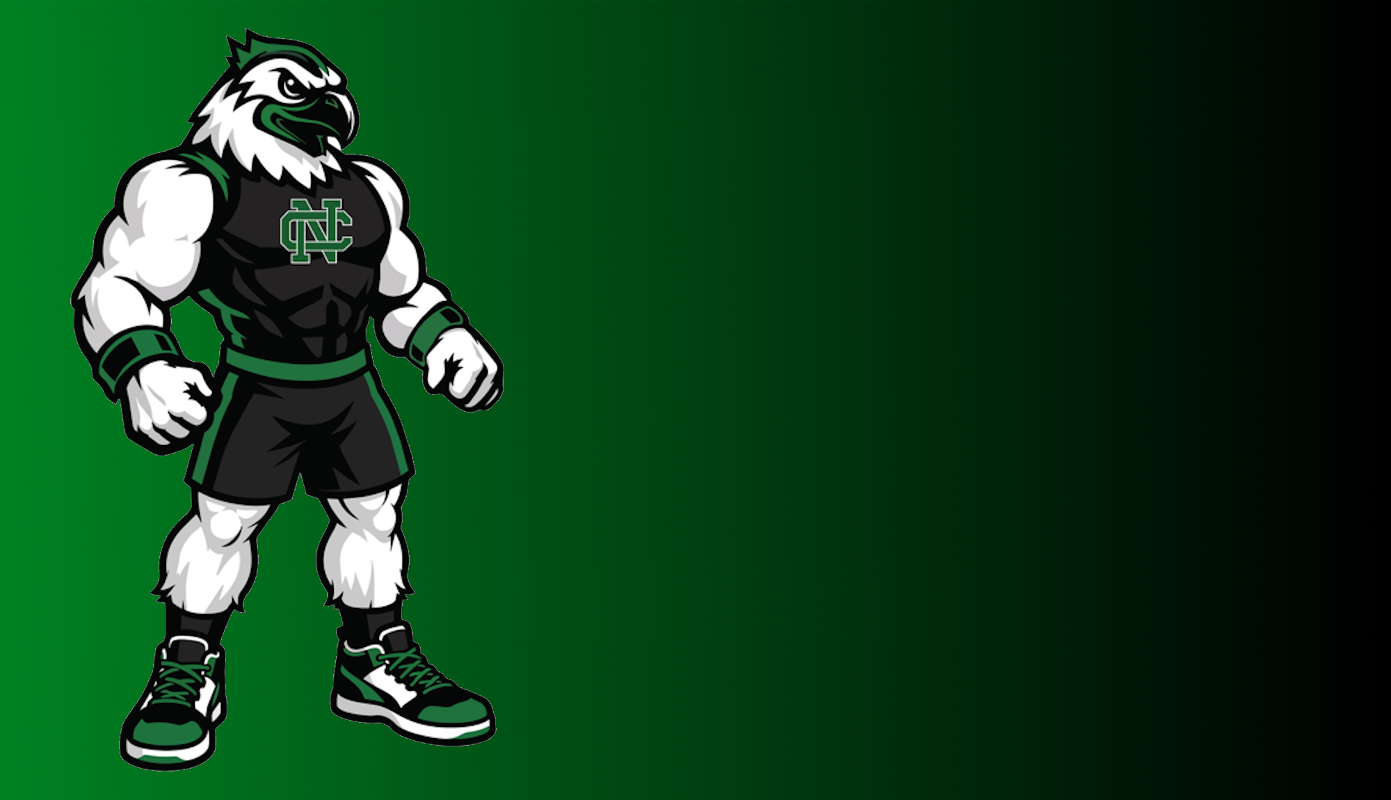 NCA Hawk Mascot